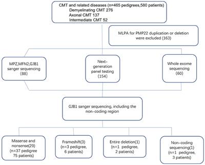 Cross-Sectional Study in a Large Cohort of Chinese Patients With GJB1 Gene Mutations